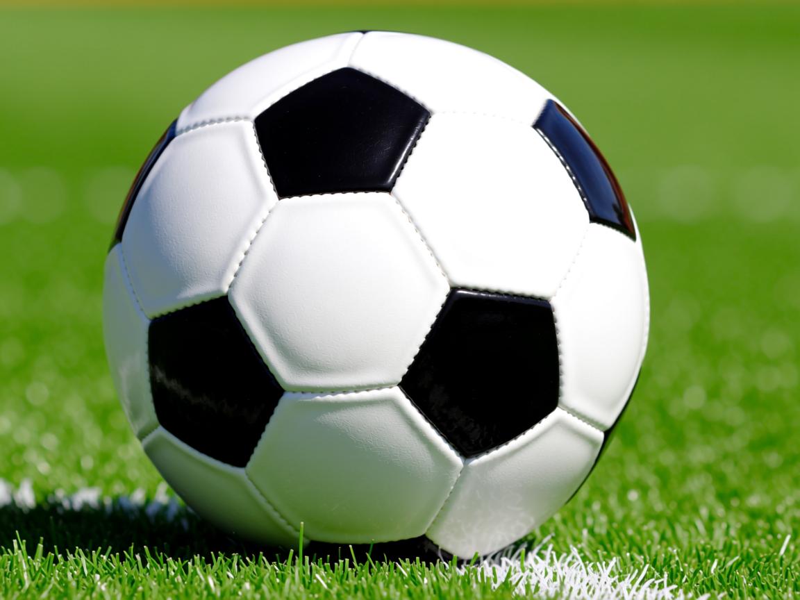 开云体育-CBA联赛打造多元文化球迷社区，cba企业文化